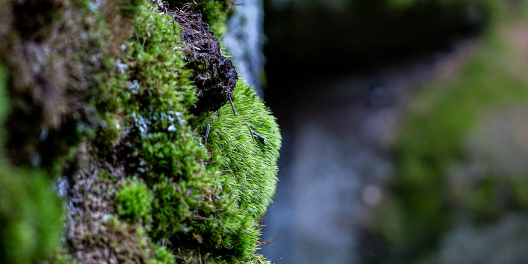 Hans Stich Felsenlabyrinth (6)