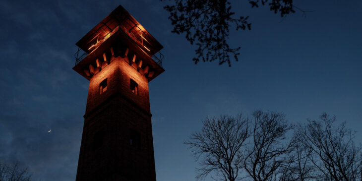 Greller_Regenstauf_Schlossberg_24_02-15