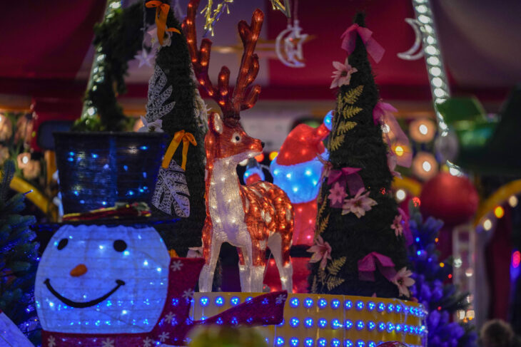 Dieter Popp 2024 Xmas (5)