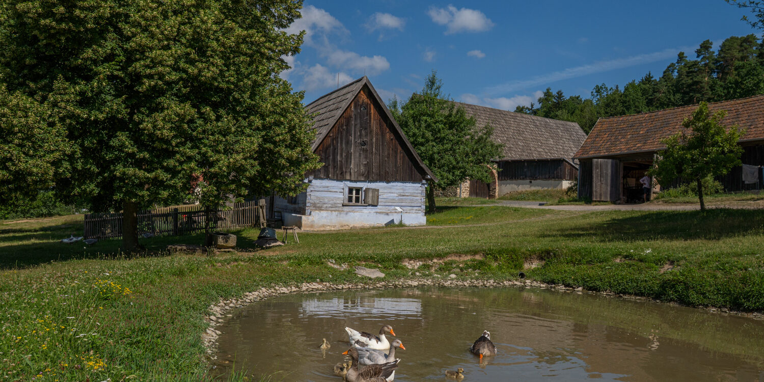 Birgit Gaßner DSC09627