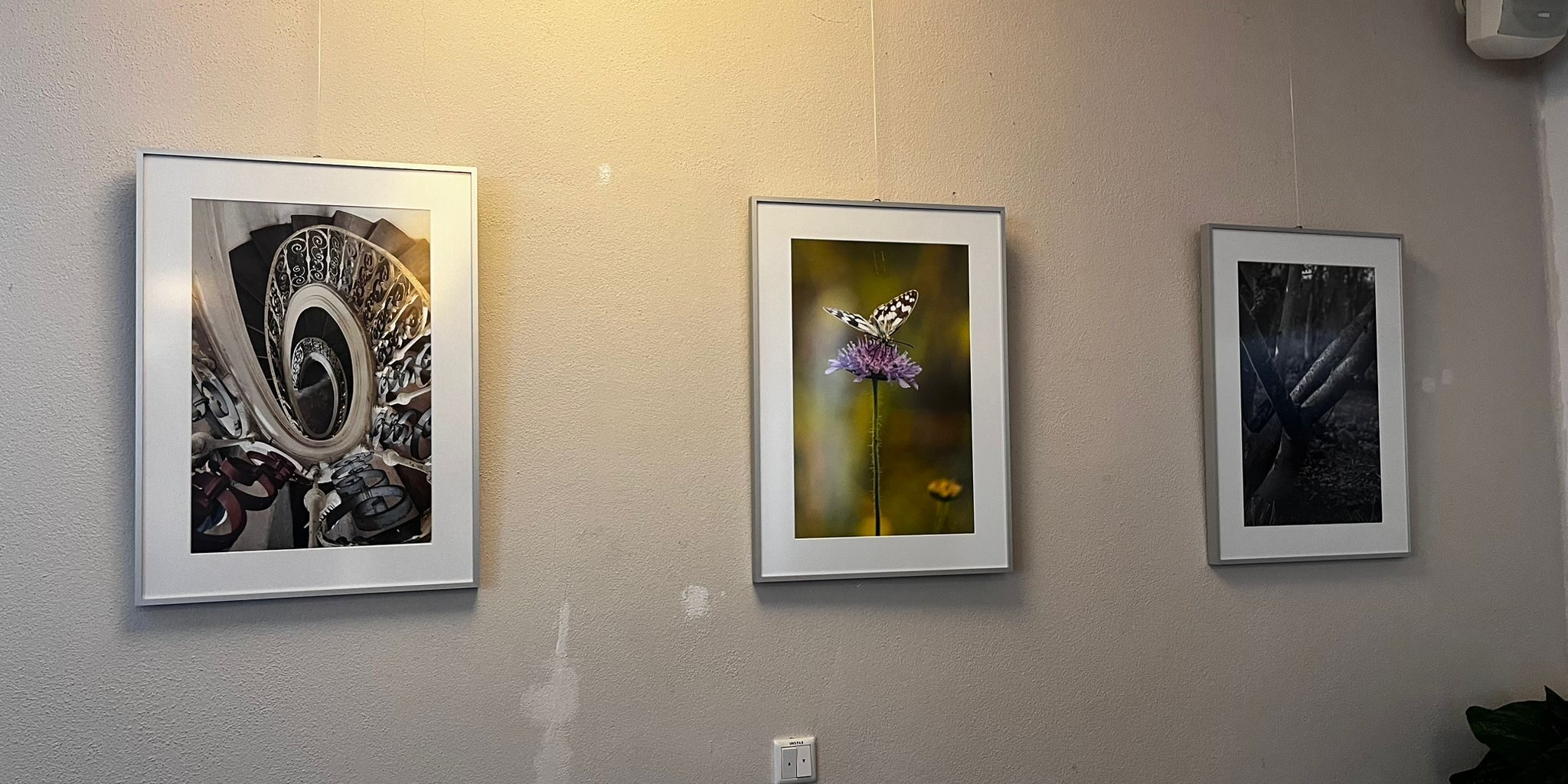 Dauerausstellung Jahnhalle 03-2026 (5)